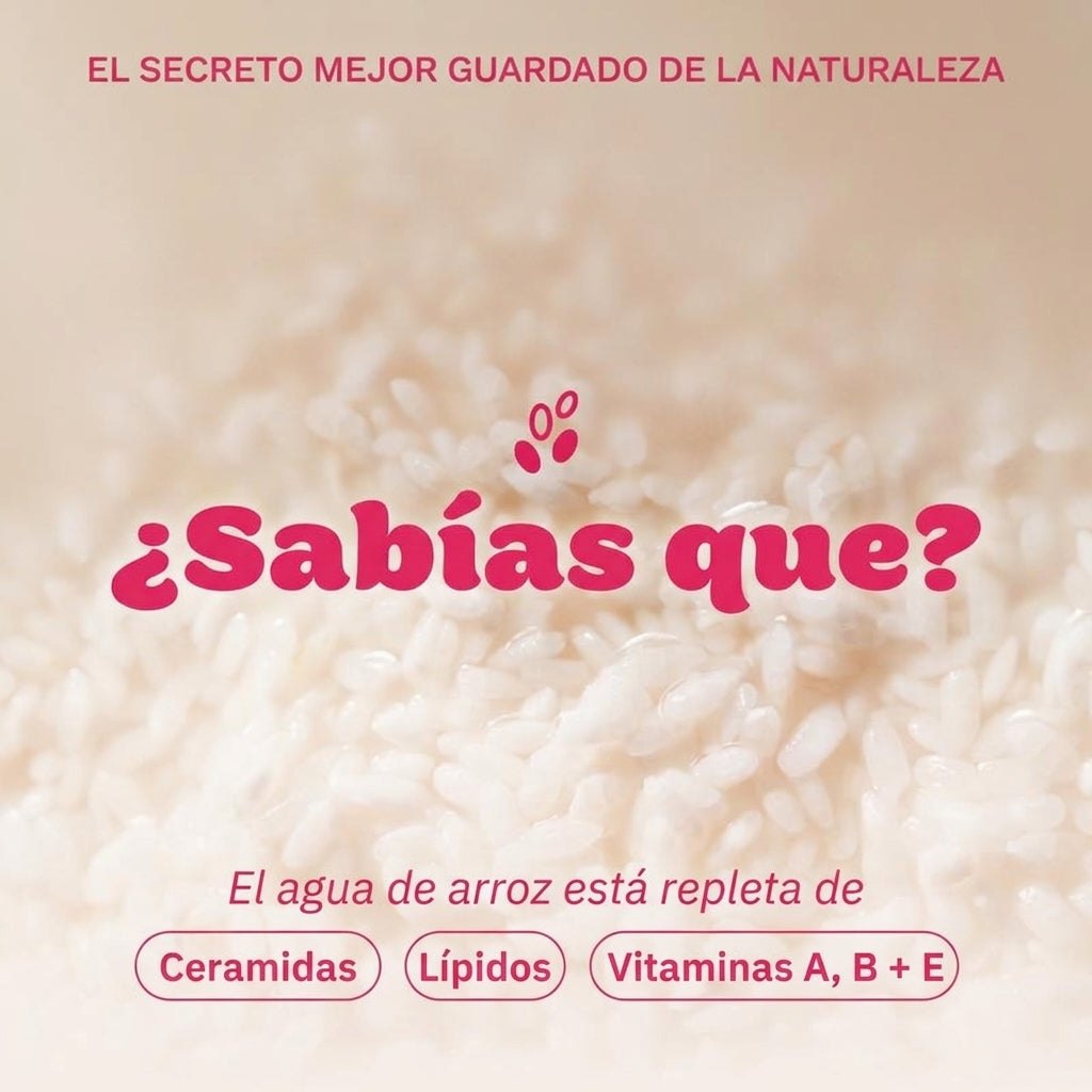 Agua de arroz