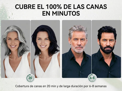 Shampoo tinte 6 en 1